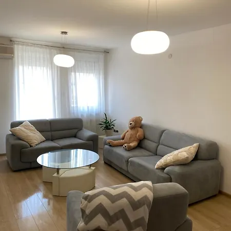 Srce Novi Sad