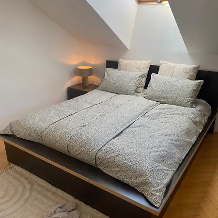 Apartment Srce Novi Sad
